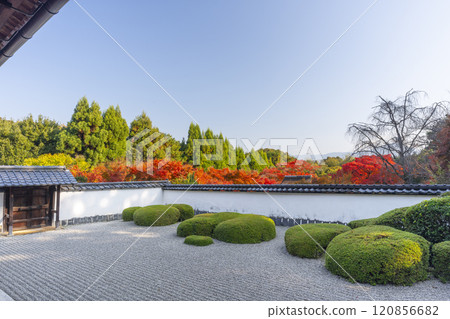 京都的秋天,聖傳寺,以比叡山為背景的“獅子漫步花園” 京都的秋天,聖傳寺,以比叡山為背景的“獅子漫步花園” 120856682