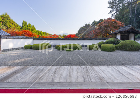 Autumn in Kyoto: Shodenji Temple, "Shishi no Ko Watashi Garden" with Mt. Hiei as a backdrop 120856688