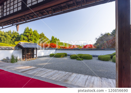 Autumn in Kyoto: Shodenji Temple, "Shishi no Ko Watashi Garden" with Mt. Hiei as a backdrop 120856690