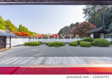 Autumn in Kyoto: Shodenji Temple, "Shishi no Ko Watashi Garden" with Mt. Hiei as a backdrop 120856701