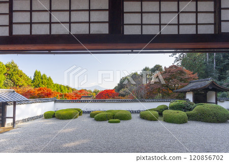 Autumn in Kyoto: Shodenji Temple, "Shishi no Ko Watashi Garden" with Mt. Hiei as a backdrop 120856702