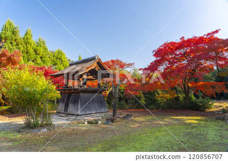 Autumn in Kyoto: Shodenji Temple Bell Tower surrounded by autumn leaves 120856707