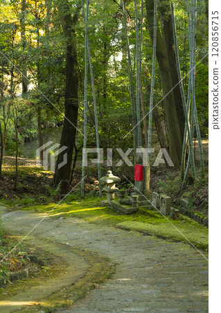 京都的正傳寺自然風光 京都的正傳寺自然風光 120856715