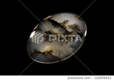 Dendritic Agate A stone that harbors landscapes 120856852