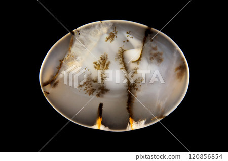 Dendritic Agate A stone that harbors landscapes Dendritic Agate A stone that harbors landscapes 120856854