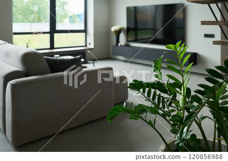 Modern Living Room Featuring Large Window And Television 120856988