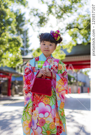身穿和服的女孩在鬱鬱蔥蔥的綠色神社庭院慶祝七五三 身穿和服的女孩在鬱鬱蔥蔥的綠色神社庭院慶祝七五三 120857107