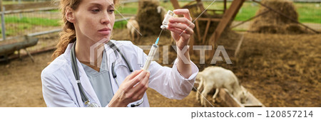 Veterinary doctor holding syringe 120857214
