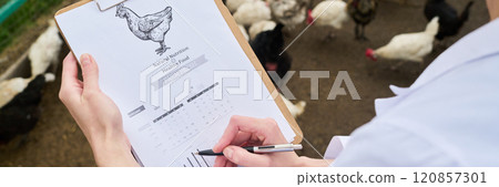 Medical document with picture of chicken 120857301