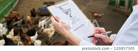 Document in hands of young veterinarian 120857305