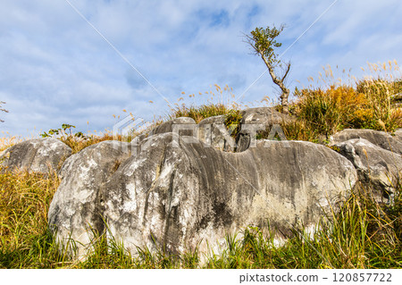 平尾台的秋景和紅葉【福岡縣北九州】 120857722