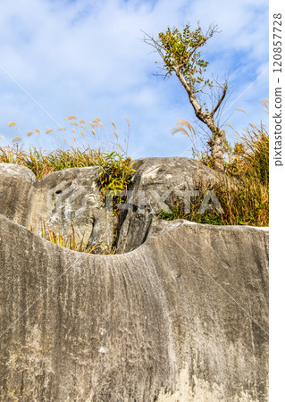 Autumn scenery of Hiraodai and red leaves [Kitakyushu City, Fukuoka Prefecture] 120857728