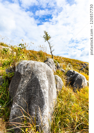 Autumn scenery of Hiraodai and red leaves [Kitakyushu City, Fukuoka Prefecture] 120857730