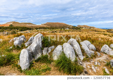 平尾台的秋景和紅葉【福岡縣北九州】 120857736