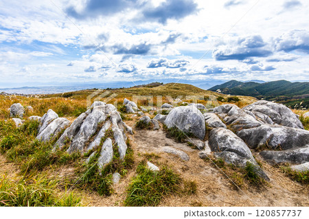 平尾台的秋景和紅葉【福岡縣北九州】 120857737