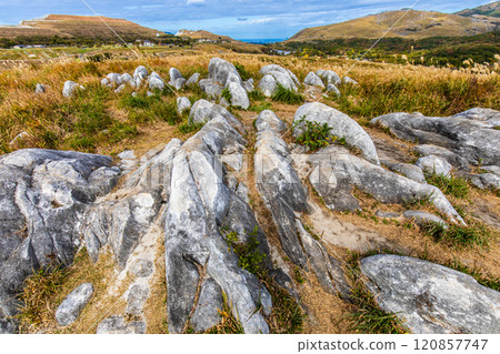 Autumn scenery of Hiraodai and red leaves [Kitakyushu City, Fukuoka Prefecture] 120857747
