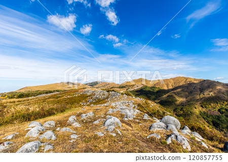 Autumn scenery of Hiraodai and red leaves [Kitakyushu City, Fukuoka Prefecture] 120857755