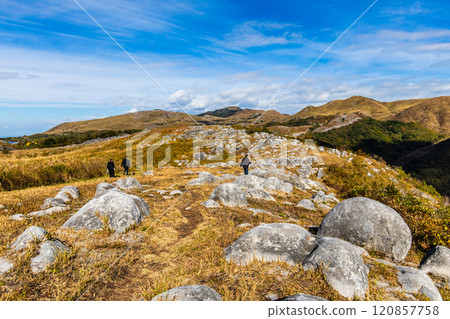 Autumn scenery of Hiraodai and red leaves [Kitakyushu City, Fukuoka Prefecture] 120857758