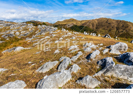 Autumn scenery of Hiraodai and red leaves [Kitakyushu City, Fukuoka Prefecture] 120857773
