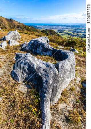 平尾台的秋景和紅葉【福岡縣北九州】 120857776