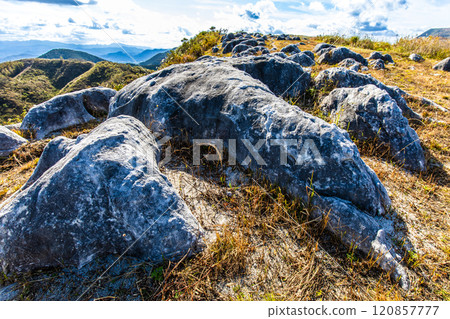 平尾台的秋景和紅葉【福岡縣北九州】 120857777