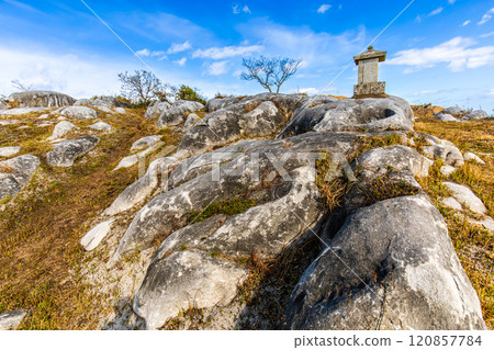 平尾台的秋景和紅葉【福岡縣北九州】 120857784