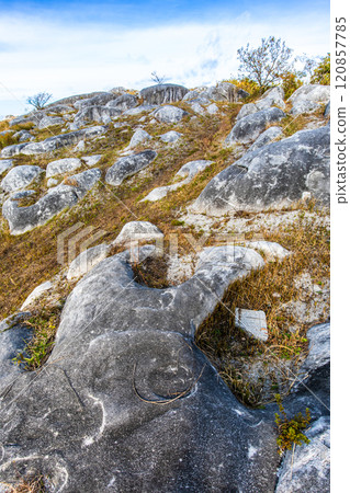 Autumn scenery of Hiraodai and red leaves [Kitakyushu City, Fukuoka Prefecture] 120857785