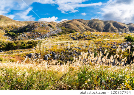 Autumn scenery of Hiraodai and red leaves [Kitakyushu City, Fukuoka Prefecture] 120857794