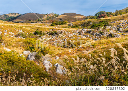 Autumn scenery of Hiraodai and red leaves [Kitakyushu City, Fukuoka Prefecture] 120857802