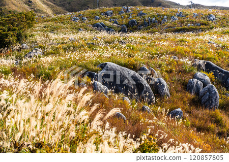 Autumn scenery of Hiraodai and red leaves [Kitakyushu City, Fukuoka Prefecture] 120857805