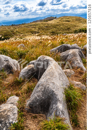 平尾台的秋景和紅葉【福岡縣北九州】 120857816