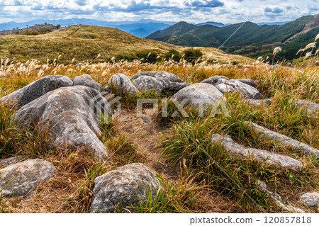 Autumn scenery of Hiraodai and red leaves [Kitakyushu City, Fukuoka Prefecture] 120857818