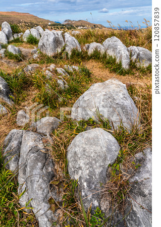 平尾台的秋景和紅葉【福岡縣北九州】 120857839