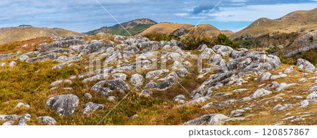 Panorama of autumn scenery and autumn leaves at Hiraodai [Kitakyushu City, Fukuoka Prefecture] 120857867