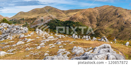 Panorama of autumn scenery and autumn leaves at Hiraodai [Kitakyushu City, Fukuoka Prefecture] 120857872