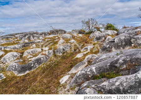 平尾台的秋景和紅葉【福岡縣北九州】 120857887