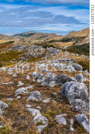 平尾台的秋景和紅葉【福岡縣北九州】 120857912