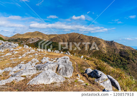 平尾台的秋景和紅葉【福岡縣北九州】 平尾台的秋景和紅葉【福岡縣北九州】 120857918