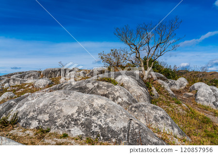 Autumn scenery of Hiraodai and red leaves [Kitakyushu City, Fukuoka Prefecture] 120857956