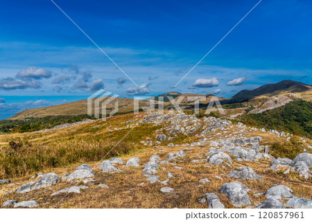 Autumn scenery of Hiraodai and red leaves [Kitakyushu City, Fukuoka Prefecture] 120857961