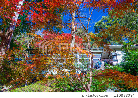 Autumn at Mount Takao: Ropeway station 120858084