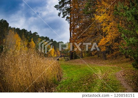 Scenic Autumn Forest Path with Vibrant Foliage Scenic Autumn Forest Path with Vibrant Foliage 120858151