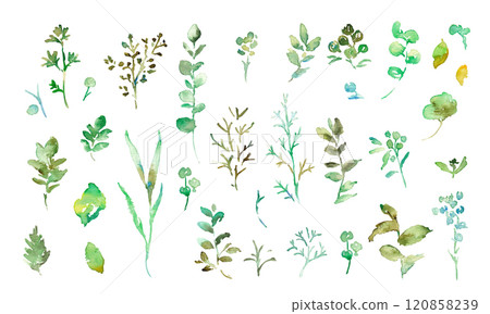 Watercolor painting. Green plant illustration with watercolor touch. Vector frame of green leaves and plants. Hand drawn watercolor grass background. 120858239
