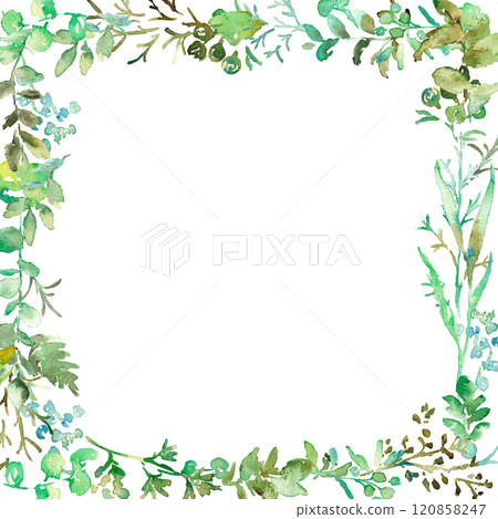Watercolor painting. Green plant illustration with watercolor touch. Vector frame of green leaves and plants. Hand drawn watercolor grass background. 120858247