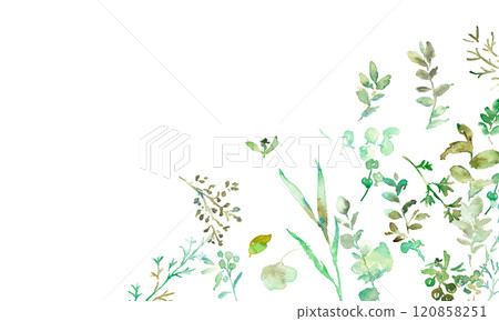 Watercolor painting. Green plant illustration with watercolor touch. Vector frame of green leaves and plants. Hand drawn watercolor grass background. 120858251