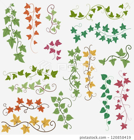 Floral ivy drawing decorative ornament flat design collection. 120858419