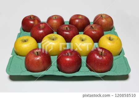 Shinshu apples, year-end gifts, Shinano Gold (yellow) and San Fuji (red) 120858510