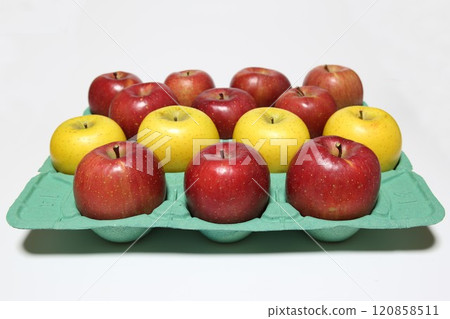 Shinshu apples, year-end gifts, Shinano Gold (yellow) and San Fuji (red) 120858511