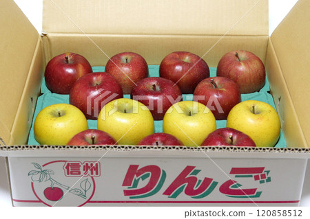 Shinshu apples, year-end gifts, Shinano Gold (yellow) and San Fuji (red) Shinshu apples, year-end gifts, Shinano Gold (yellow) and San Fuji (red) 120858512