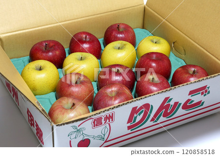 Shinshu apples, year-end gifts, Shinano Gold (yellow) and San Fuji (red) Shinshu apples, year-end gifts, Shinano Gold (yellow) and San Fuji (red) 120858518